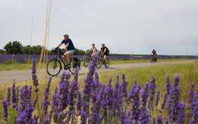 Radtouren in traumhafter Kulisse